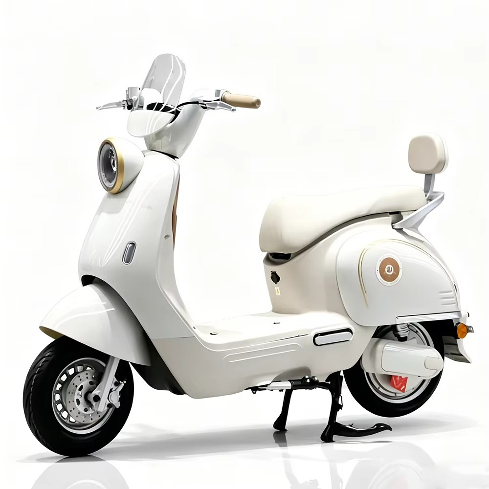 Elektryczny motocykl EER dla d – Brake Disc Motorcycle recenzja i cena